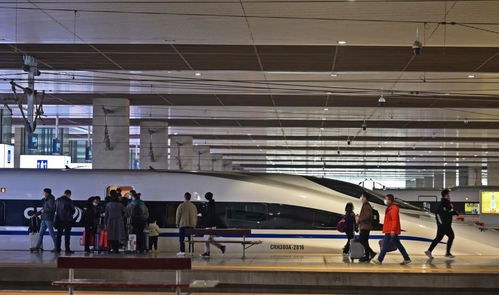 鄭州鐵路逐步恢復列車開行，明起恢復高鐵8趟