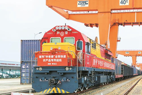 首列中老泰全鐵快速農(nóng)產(chǎn)品專列抵蓉，國際物流新動脈全面打通